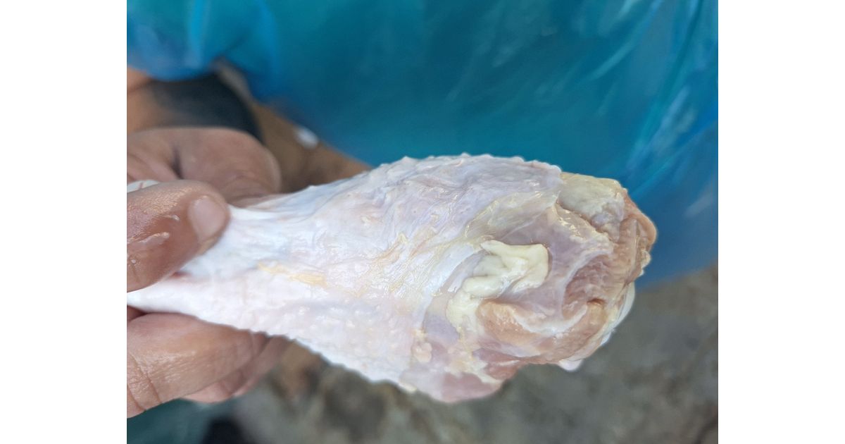 Pollo deshuesado — Prueba